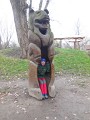 DSCN7514