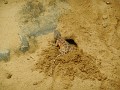 DSCN7559