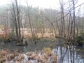 DSCN7910