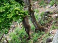 DSCN9196