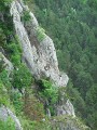 DSCN9226