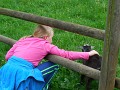 DSCN9254