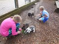 DSCN9286