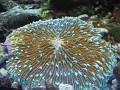 DSCN8028