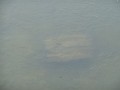 DSCN8087