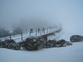 DSCN8170