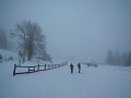 DSCN8189