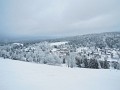 DSCN8202