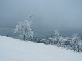 DSCN8204