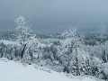 DSCN8205