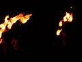 DSCN8323
