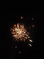 DSCN8347