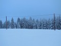 DSCN7708