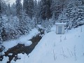 DSCN7719