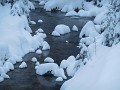 DSCN7722