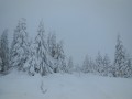 DSCN7725