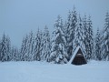 DSCN7735