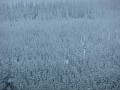 DSCN7739