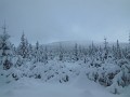 DSCN7741