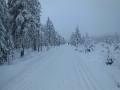 DSCN7745