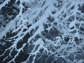 DSCN7749