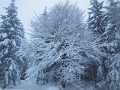 DSCN7751