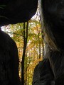 DSCN1500