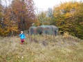 DSCN1547