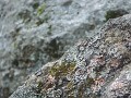 DSCN0835