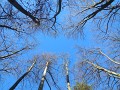 DSCN7769