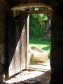 DSCN0042