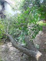 DSCN0076