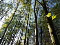 DSCN1062