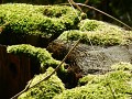 DSCN1072