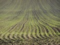 DSCN1075