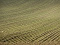 DSCN1084