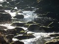 DSCN1774