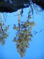 DSCN1782