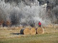 DSCN1839