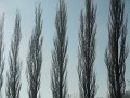 DSCN1861