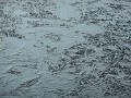 DSCN1884