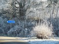DSCN1903
