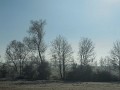 DSCN1923