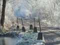 DSCN1933