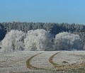 DSCN1943