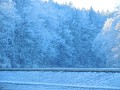 DSCN2063