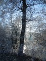DSCN2071