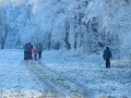 DSCN2074