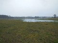 DSCN8537