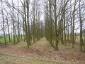 DSCN8557